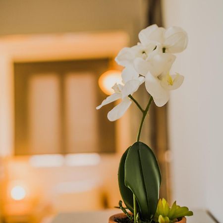 Green Apartment Ground Floor Feel Like Home Properties Saronida Luaran gambar